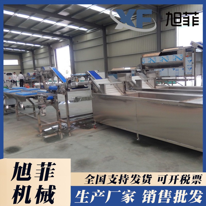 Whole vegetable cleaning and air drying assembly line Fruit and vegetable processing and cleaning equipment Food factory processing machinery Xufei