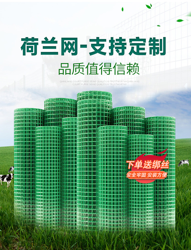 Dutch mesh, wire mesh, breeding fence, enclosure for chicken farming, protective isolation net, steel wire welding, external immersion plastic spring rain