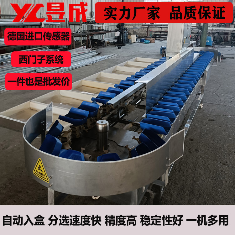 Yucheng betel nut automatic sorting machine sea cucumber traditional Chinese medicine weight grading accuracy high speed pear pomegranate fruit sorting machine