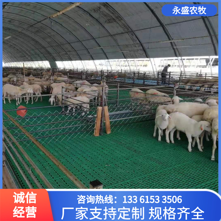 Bilateral card slot sheep shed leakage plate, circular hole fattening sheep bed, plastic sheep manure plate, shipped nationwide