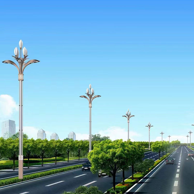 Customized municipal road combination lamp, Zhonghua Lamp, large LED landscape Yulan Lamp, Runchang Lighting