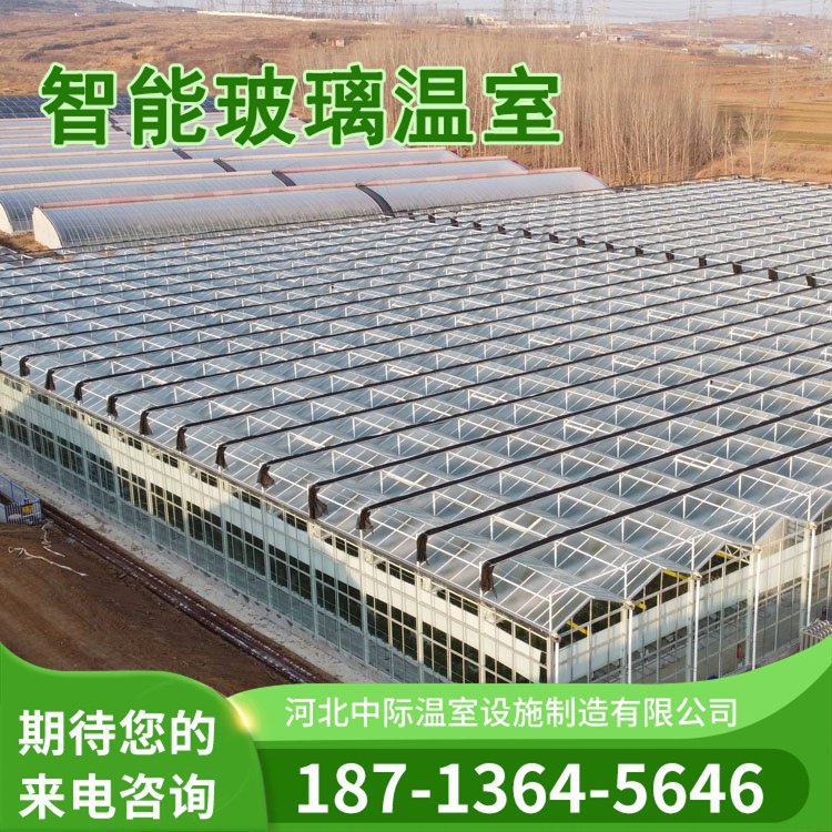 蓝莓避雨棚造价 玻璃阳光板薄膜日光温室大棚 包工包料热镀锌