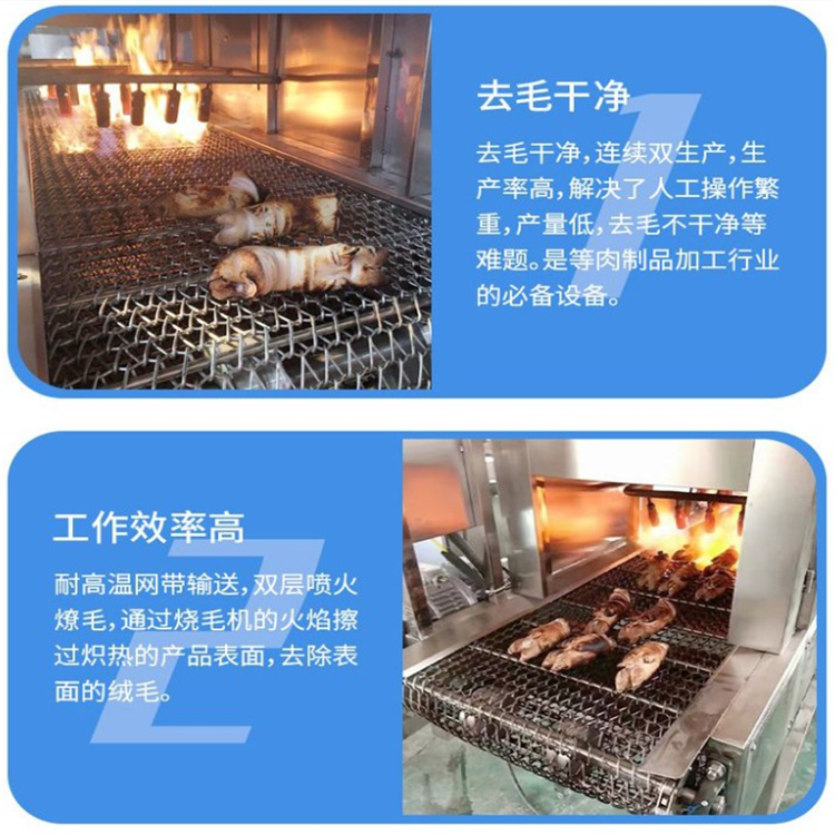 Yixun Pig Head and Pig Feet Roasting Machine Chicken Duck Goose Roasting Machine Sheep Head and Pig Feet Roasting Equipment