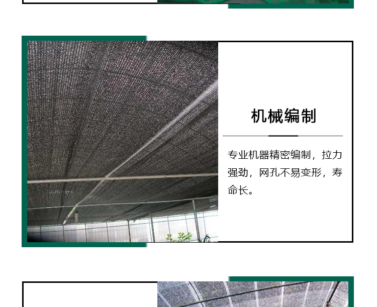 Polyethylene 2000 mesh six needle covered earth net, green covered earth dust net, construction site green net