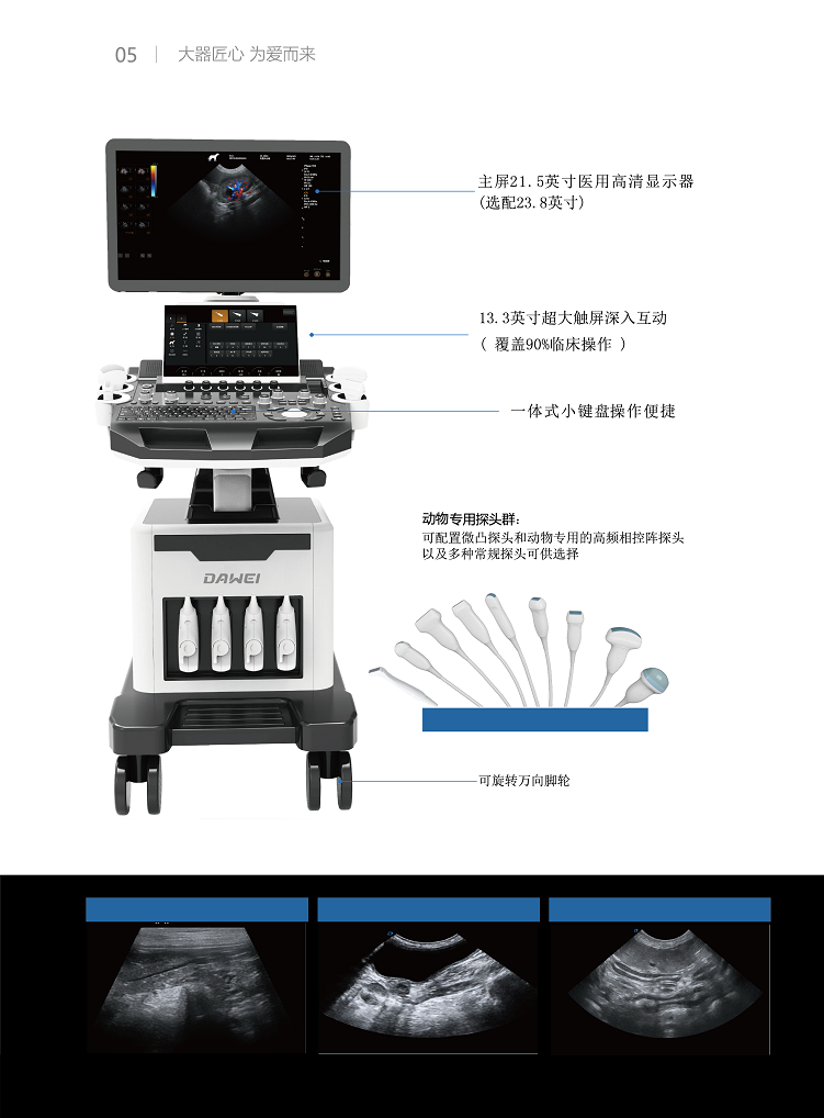 High Resolution Mouse Cardiac Ultrasound Company Large and Small Mouse Cardiac Ultrasound Research Mouse Animal Color Ultrasound Machine