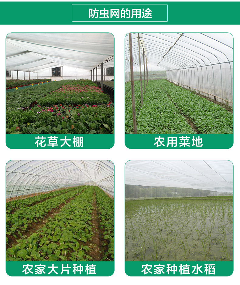 Fruit tree greenhouse insect prevention net cross-border plant greenhouse vegetable nylon net bag grasshopper frog breeding net cover polyethylene