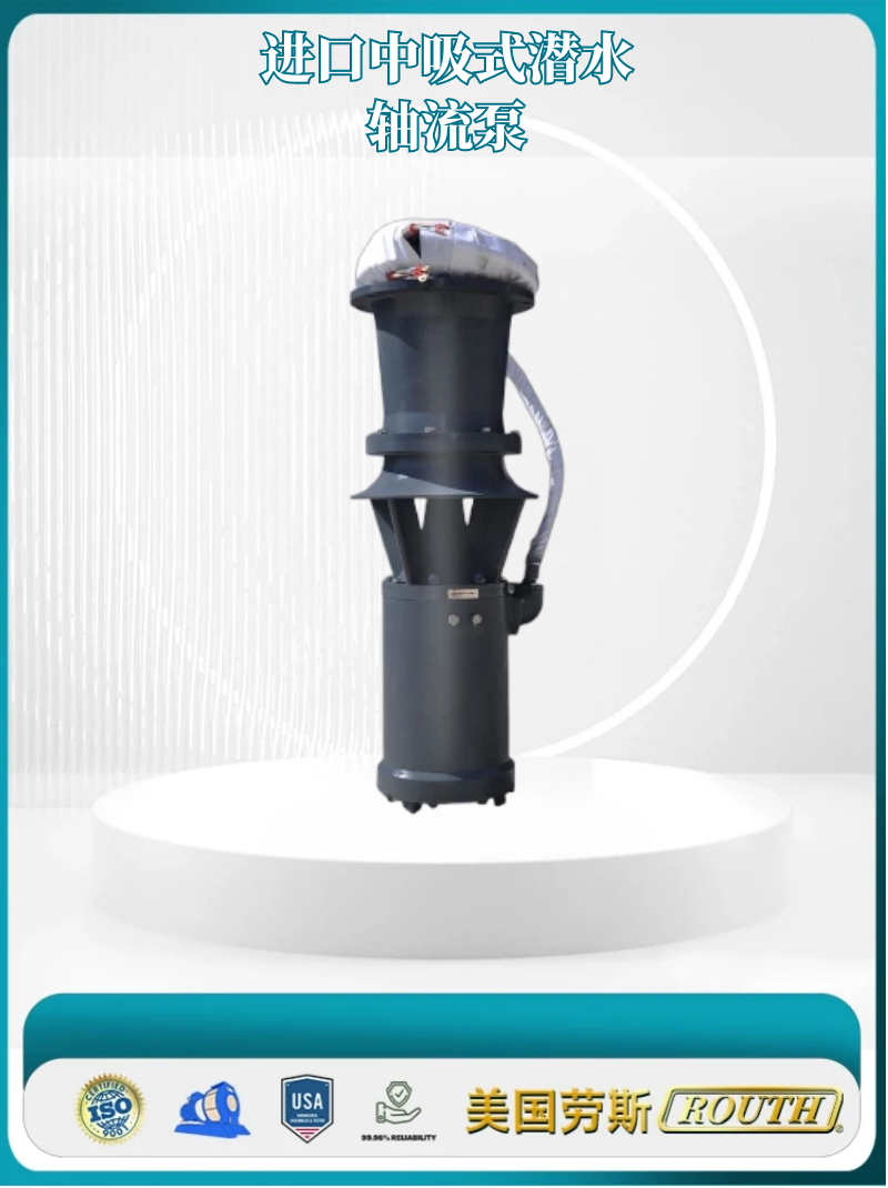 进口中吸式潜水轴流泵 立式 QSZ 泵站专用 噪音低 美国劳斯ROUTH