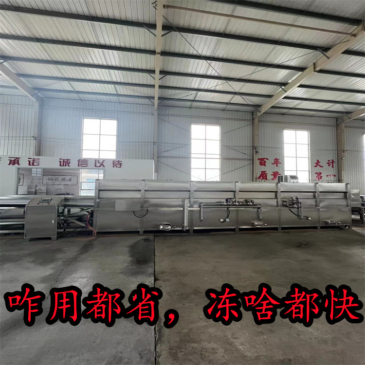 Huayuan Automation Bamboo Shoot Quick Frozen Equipment Immersion Type Fresh Frozen Machine Immersion Quick Frozen Machine HY-635