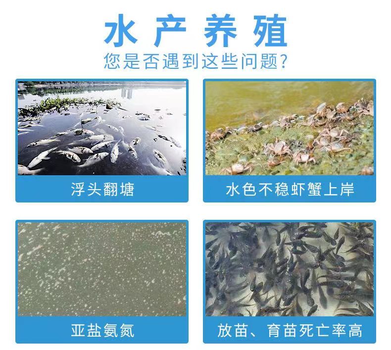 Long term oxygen enhancing ozone sheet modification for bottom water purification, oxygen enhancing deodorization, black sludge and foul odor at the bottom of the pond