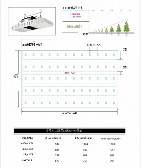 800W rooftop planting plants with strong lighting and wide radiation area provided by foreign growers