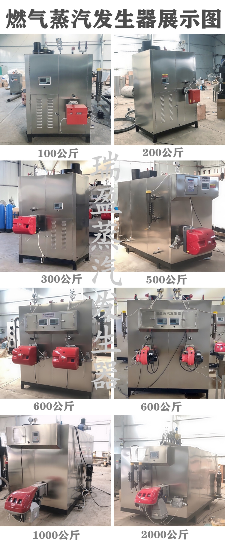 0.5 ton gas steam generator, pharmaceutical factory, food factory, industrial steam boiler, Ruiying