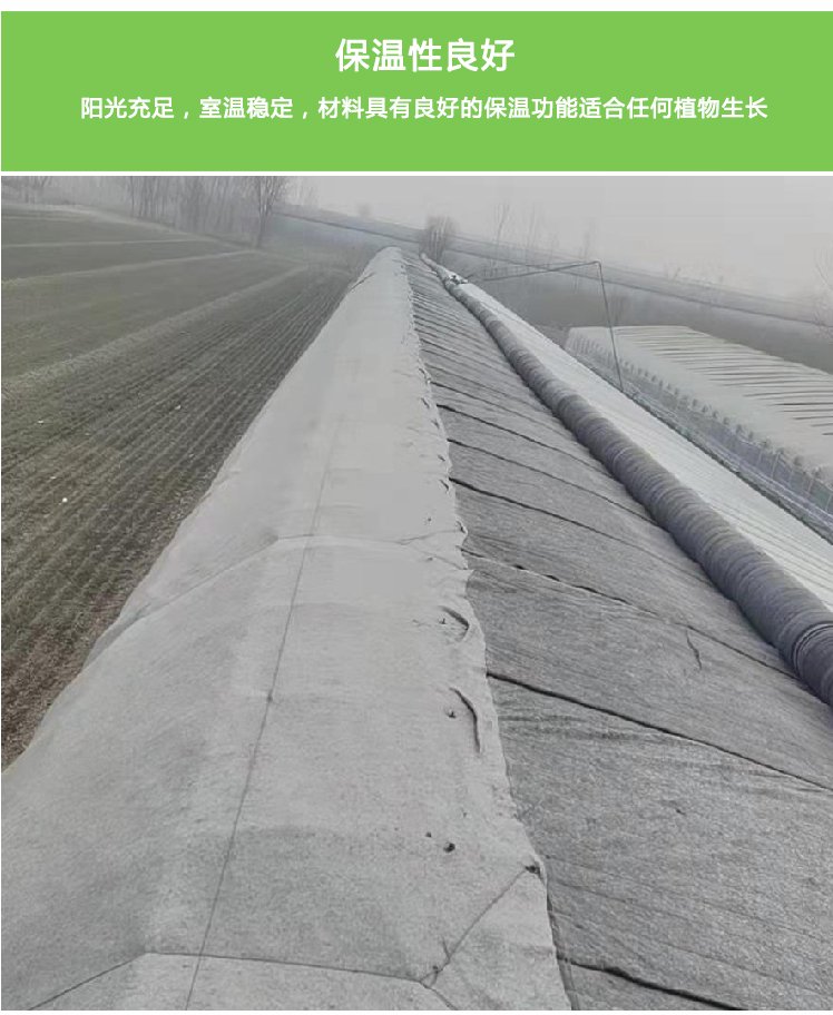 National standard galvanized pipe greenhouse skeleton specifications can be customized for professional construction of circular arch agricultural greenhouse greenhouses