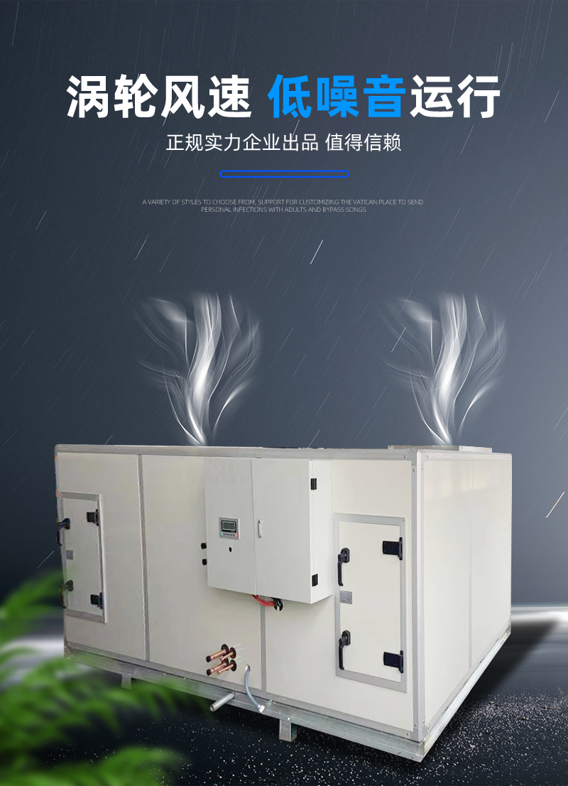 Direct Expansion Purification Unit Constant Temperature and Humidity Combined Air Cabinet Hoisting Cold and Warm Cabinet Type Direct Expansion Air Handling Unit