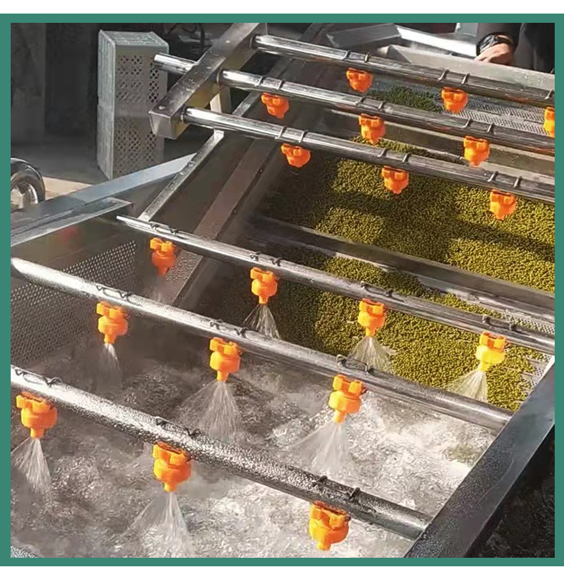 Customized Pepper Bubble Cleaning Machine Pepper Cleaning Equipment Stainless Steel Vegetable Washing Machine