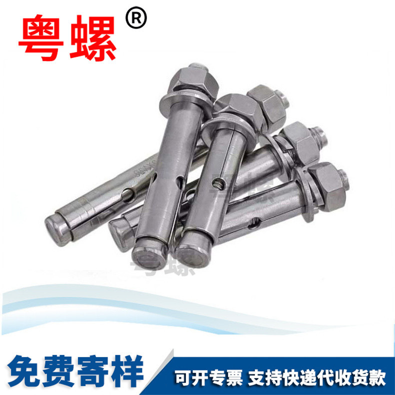 Guangdong Screw Wholesale High Strength Screw Stainless Steel Screw Wall plug