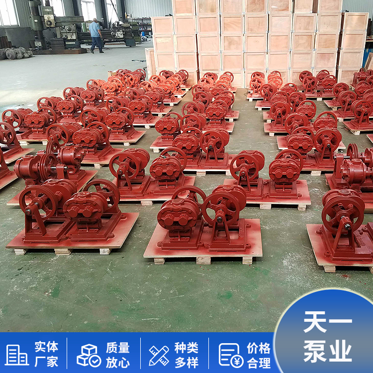 Rotary pump 50H rotary oil pump is suitable for conveying media, and the concave and convex wheels can be customized for Tianyi Pump Industry