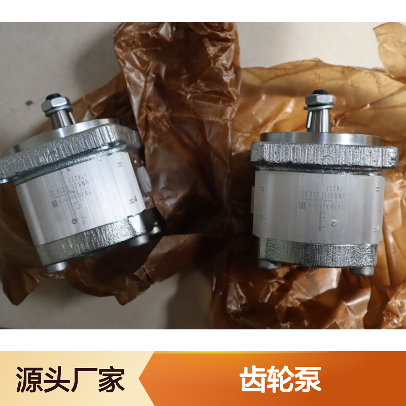 0510010008 AZPB-32-1.0RCP02MB 德国力士乐REXROTH齿轮泵