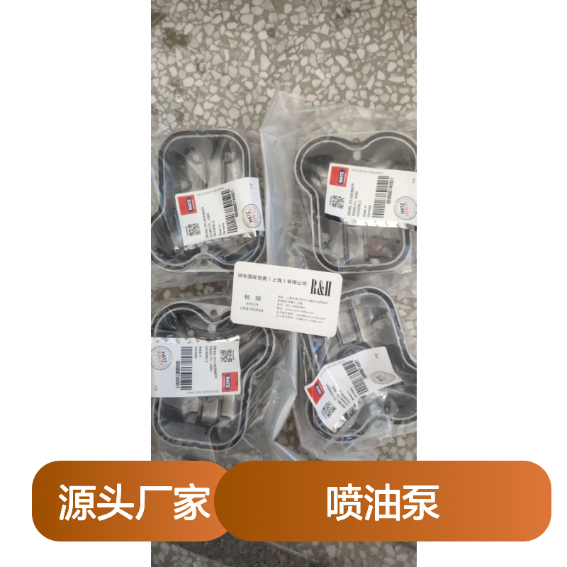 德国赫驰Hatz发动机喷油泵 高压泵配件 适配多型号发动机