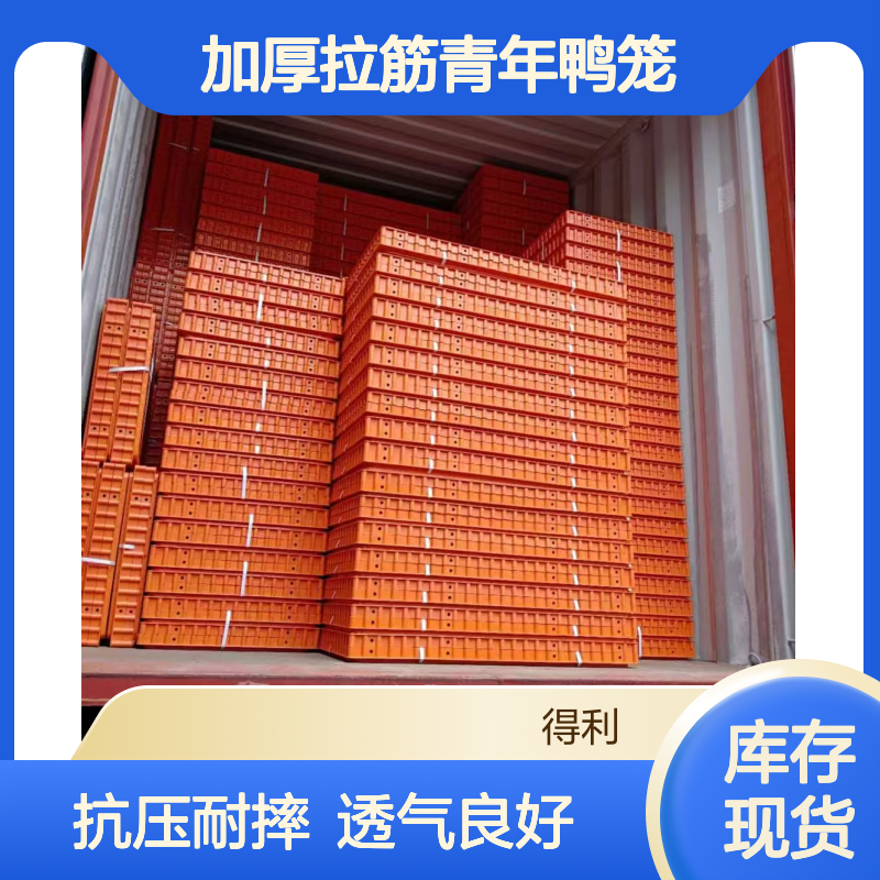 鸡笼子 加厚拉筋青年鸭笼 淘汰鸡的塑料筐 厂家供应
