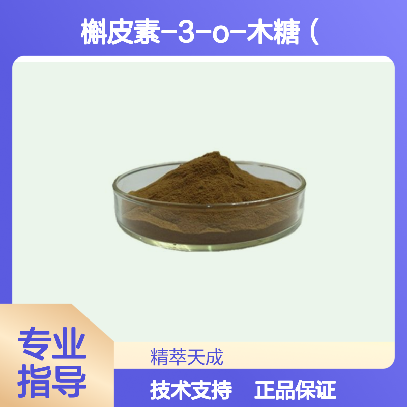 槲皮素-3-O-木糖（1-2）葡萄糖 83048-35-5 活性单体提取物