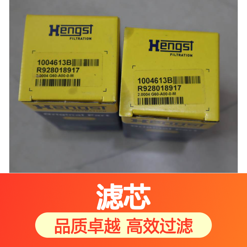 R928018917 2.0004 G60-A00-0-M 1004613B 德国汉格斯特HENGST滤芯