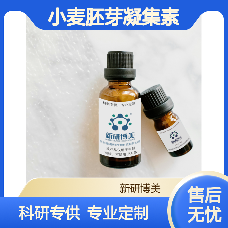 新研博美 Alexa Fluor 647 Wheat germ agglutinin（小麦胚芽凝集素）