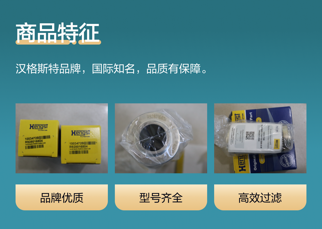 R928016804 16.8700/R PWR10-S00-0-M 1003472B 汉格斯特HENGST滤芯