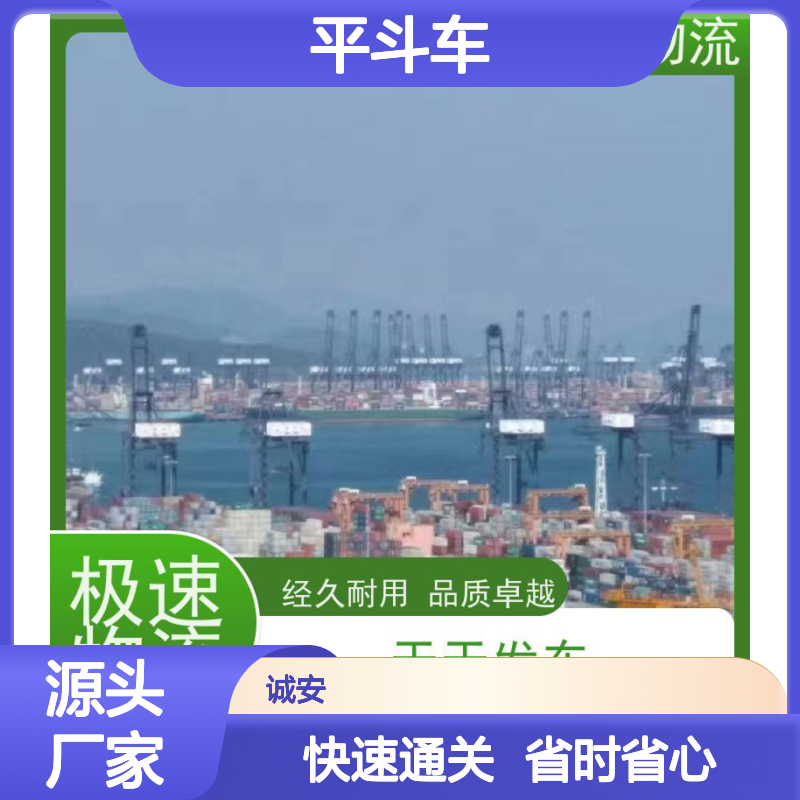 诚安物流 平斗车专线 惠州香港快速通关 品质卓越
