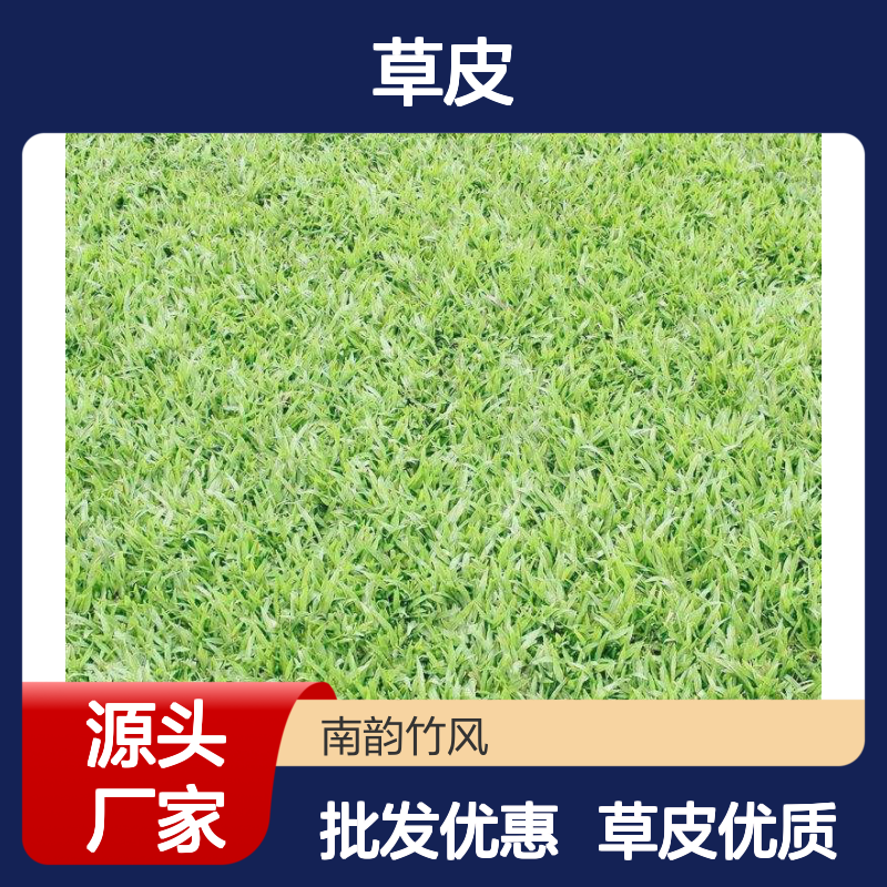 深 圳公园绿化草坪养护 草皮批发 种植 施工 南韵竹风