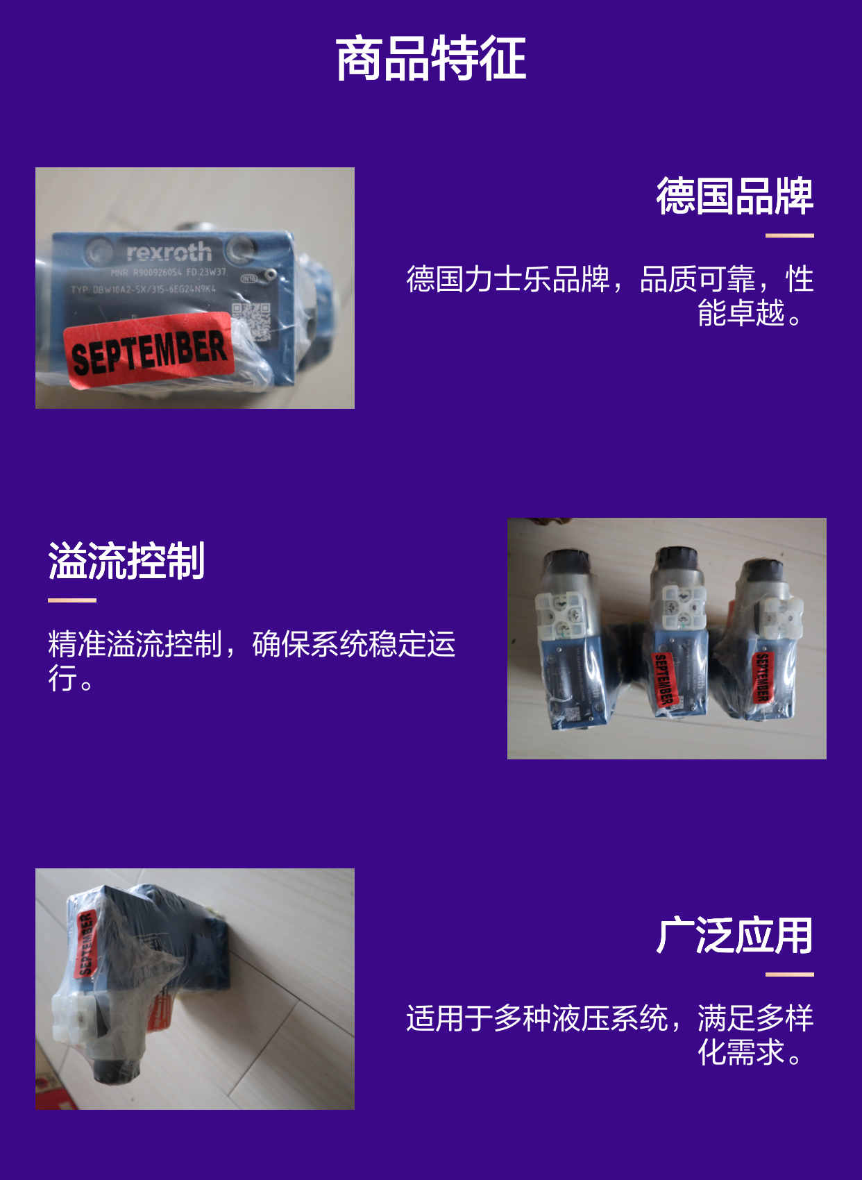 DBW10A2-5X/315-6EG24N9K4 R900926054 德国力士乐REXROTH溢流阀