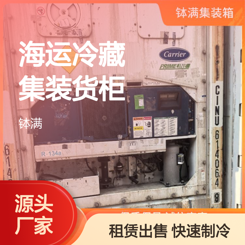 冷冻集装箱租赁出售 物流运输海运冷藏集装货柜 快速制冷技术强