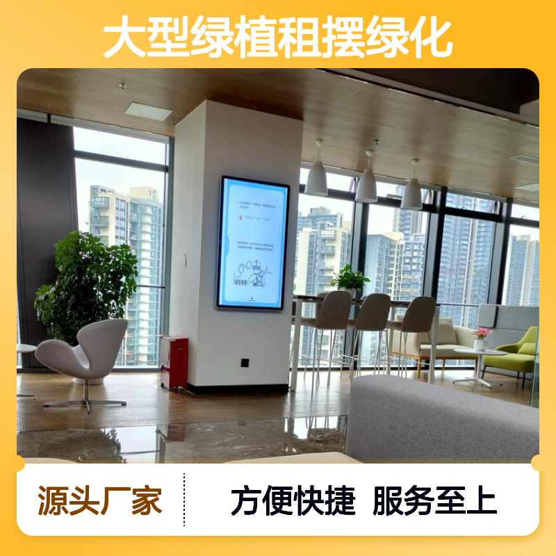 大型绿植租摆绿化公司 方便快捷 出货快 服务好 质量有保证