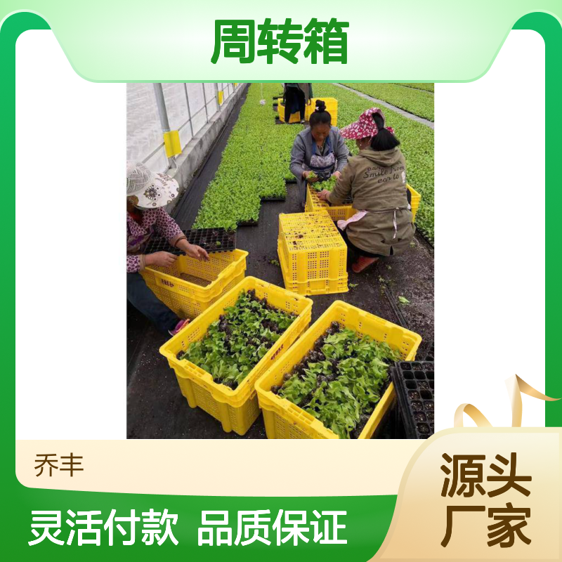 乔丰塑料周转箱 多尺寸可选 食品级材质 全新制作