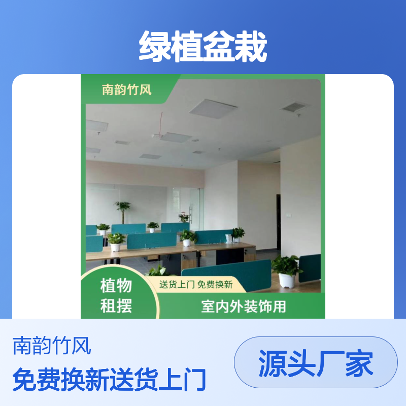 植物出租 固戍花卉绿植 室内花卉绿植盆栽 专人养护 免费更换