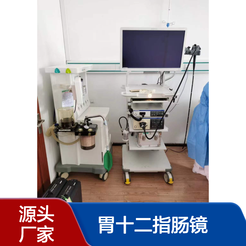 奥林巴斯电子上消化道内窥镜 软性胃十二指肠镜GIF-H190 代理商