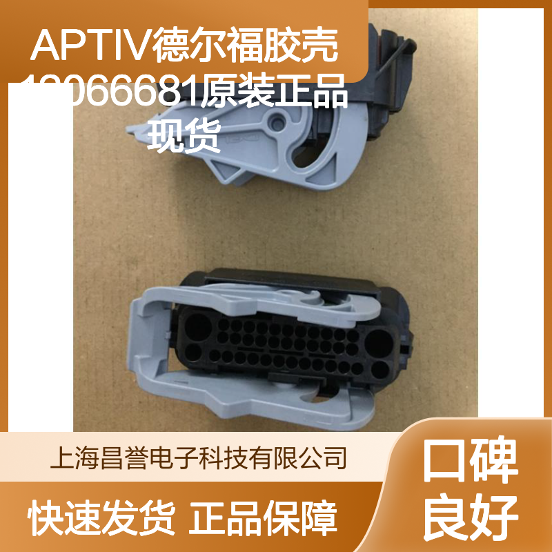 APTIV德尔福12066681胶壳 原装正品 电子连接器必备配件