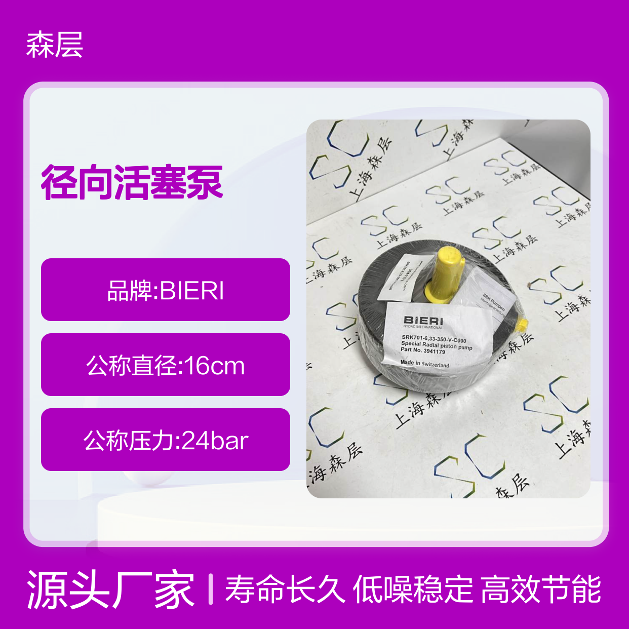瑞典BIERI径向活塞泵SRK701-6,33-350-V-C*00