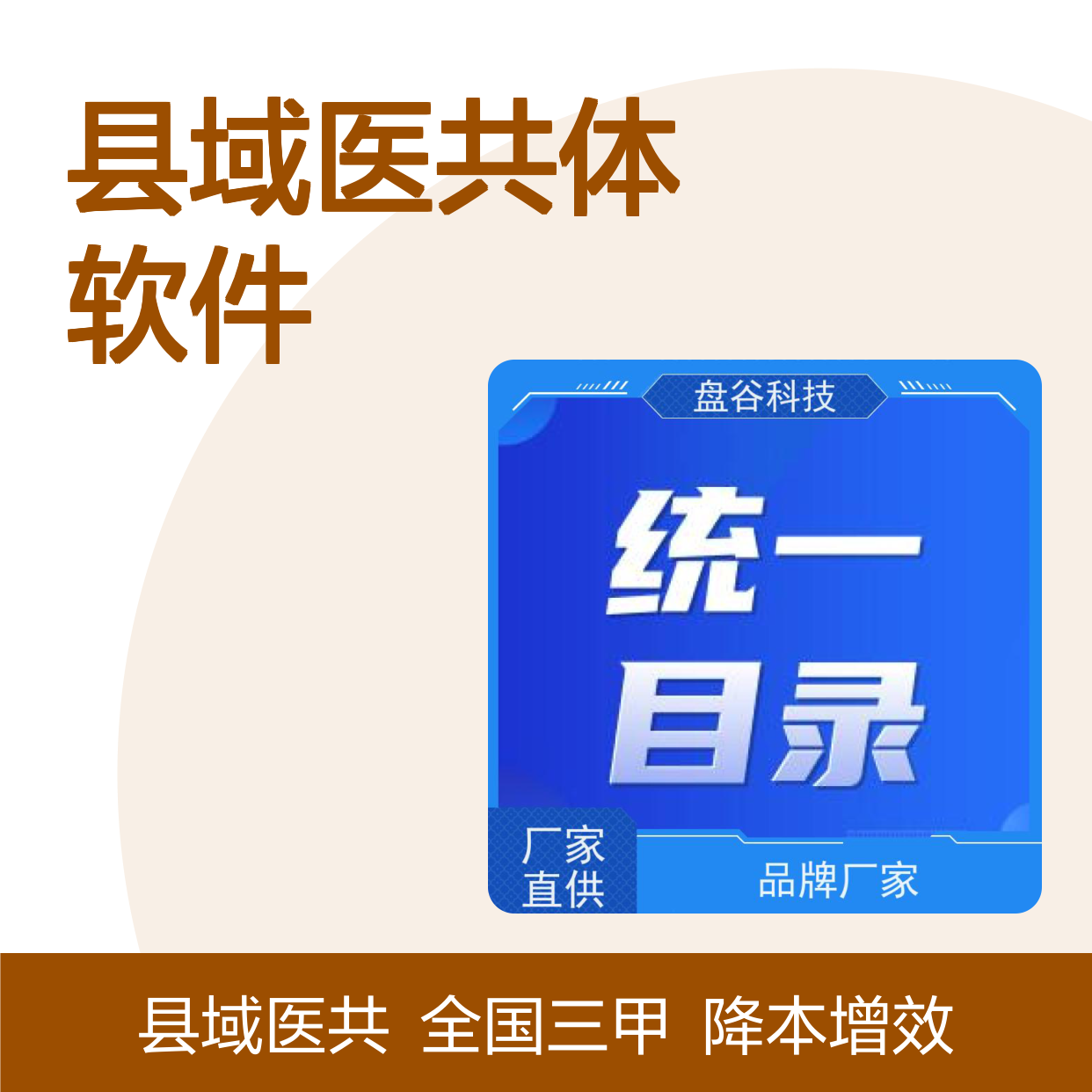 盘谷医疗 降本增效 全国三甲案例 县域医共体软件