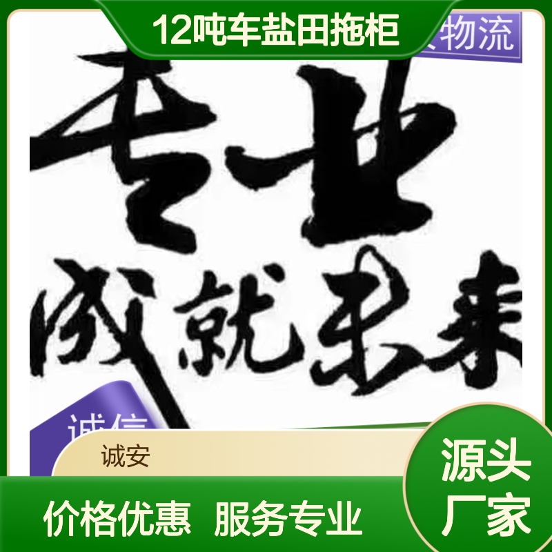 诚安物流12吨车盐田拖柜一般贸易买单报关次日到