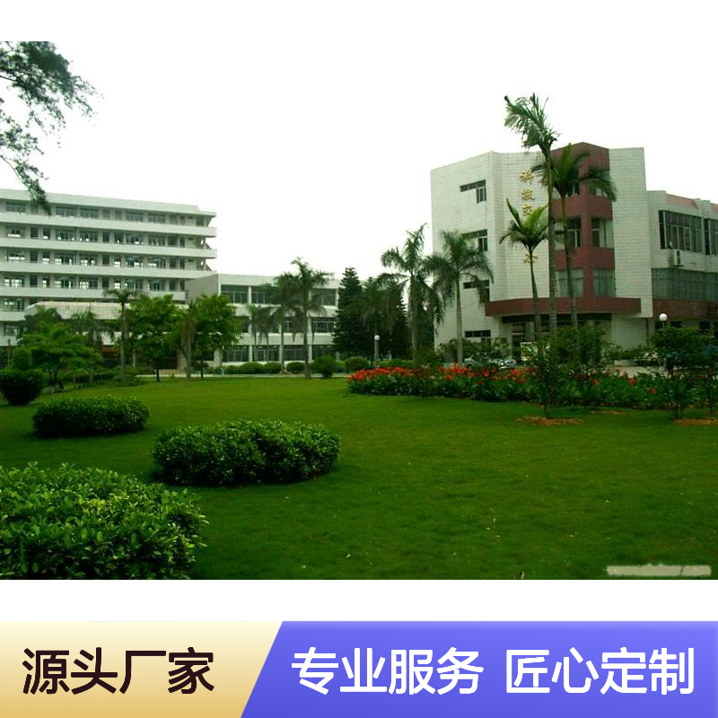 深 圳绿化养护公司 园林上门服务 设计施工团队 高端定制 匠心打造