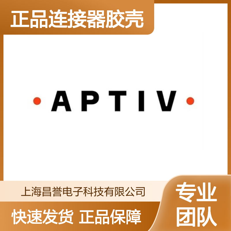 12066176 APTIV安波福原装正品连接器胶壳 汽车电子配件专用