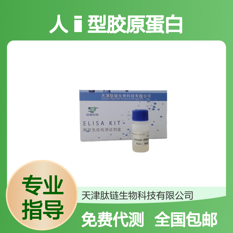 人Ⅲ型胶原蛋白(ColⅢ)elisa试剂盒 酶联免疫检测 血清血浆尿液适用