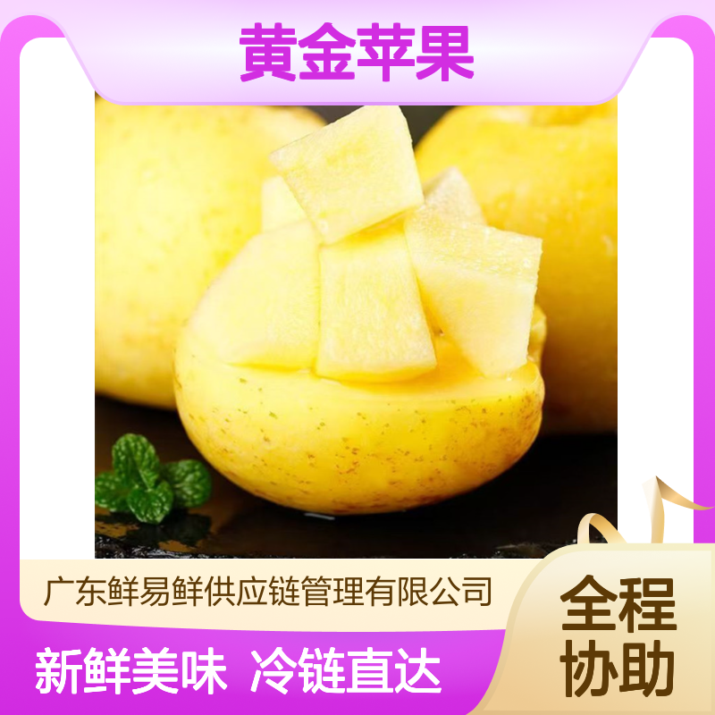维纳斯黄金苹果冷藏运输 酥脆多汁 果香浓郁 冷链物流直达