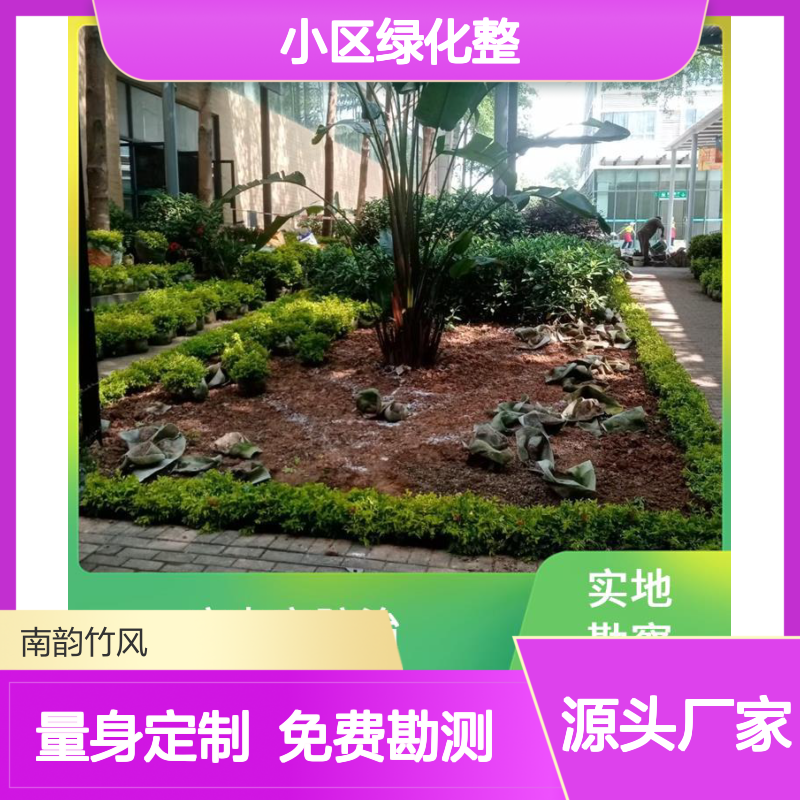 南韵竹风 小区绿化整改 园林施工 植物配置 景观节点设计