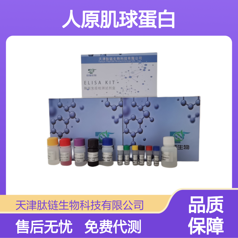 人原肌球蛋白α4(TPM4)elisa试剂盒 高灵敏度特异性强 定量定性分析