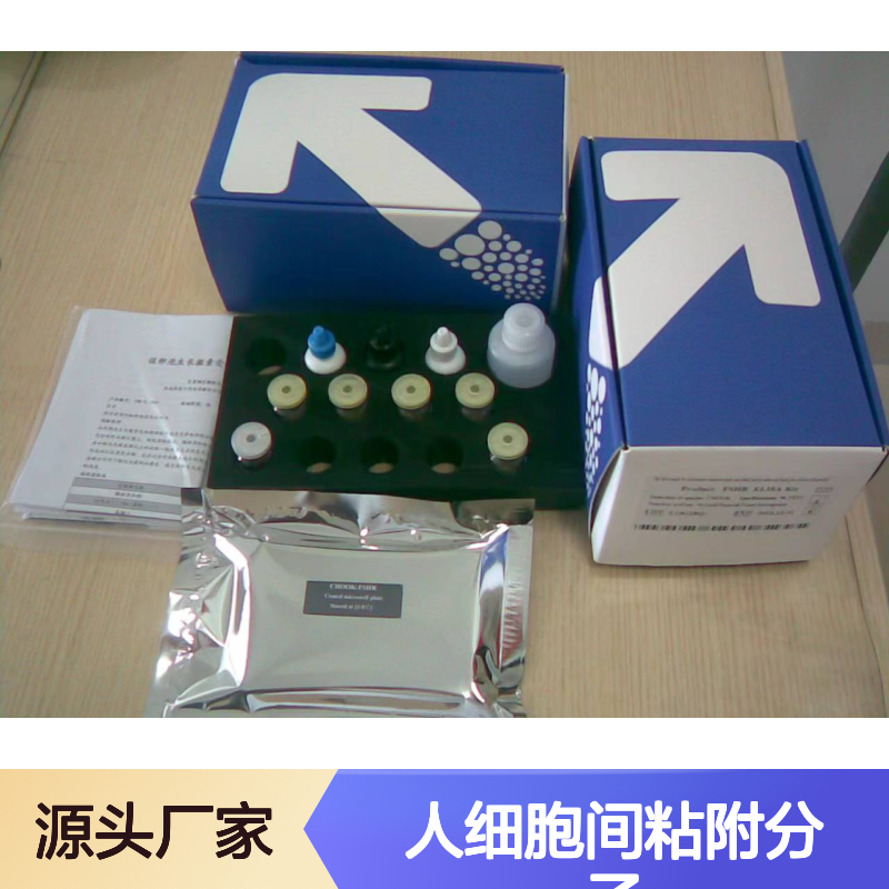 人细胞间粘附分子1(ICAM-1)ELISA试剂盒 科研专用 高精度检测