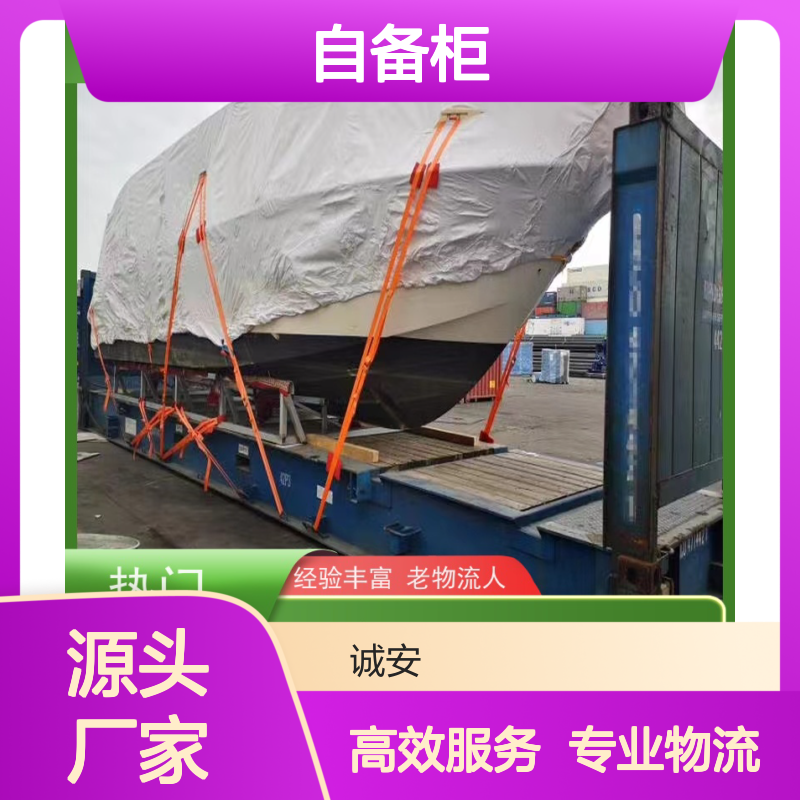 诚安物流45尺自备柜河源到香港专人跟单次日到