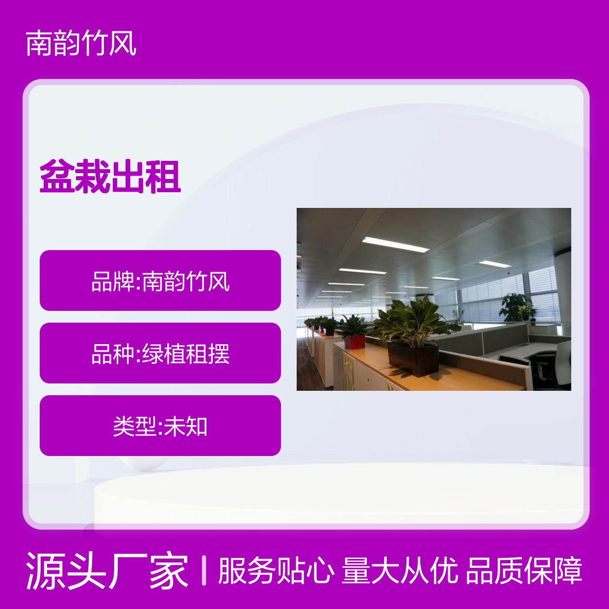 南韵竹风盆栽出租 服务全面 品种多样 成活率高
