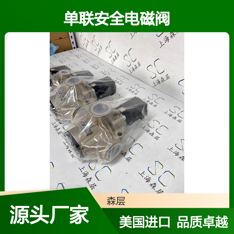 美国进口ROSS单联安全电磁阀D2773B6011 DC24 常闭 螺纹BSPP