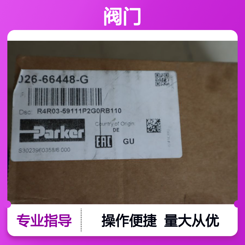 派克PARKER丹尼逊DENISON R4RPI03-00111B1BSP10 VP01-260RB110 阀门